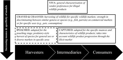 Introducing IPOACHED: A conservation criminology-based framework to understand wildlife species targeted by poachers in protected areas